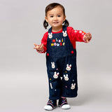 OVERALL