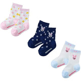 SOCKS SET