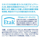 BABYSHOES FIRST STAGE