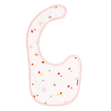 BIB